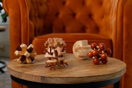 Recent Toys Frontal Lobe - IQ Puzzel