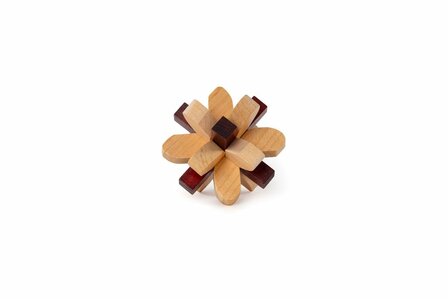 Recent Toys Parietal Lobe - IQ Puzzel