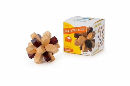 Recent Toys Parietal Lobe - IQ Puzzel