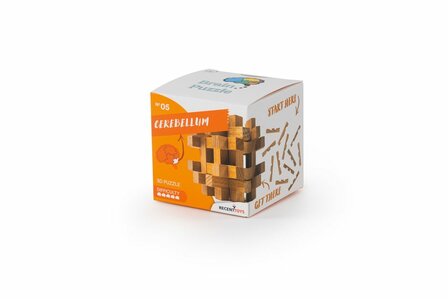 Recent Toys Cerebellum - IQ Puzzel