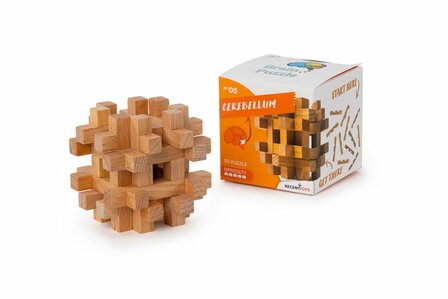 Recent Toys Cerebellum - IQ Puzzel