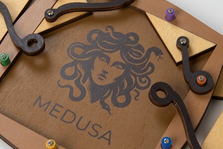 Recent Toys Medusa&#039;s Puzzle- Constantin - IQ Puzzel