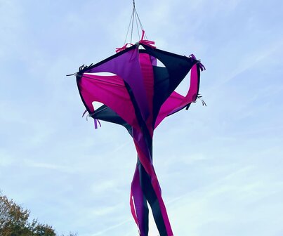 De Paddestoel Octopus Windvaan