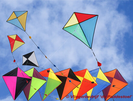 De Paddestoel Eddy 60 Multi met Naam - Eenlijnsvlieger