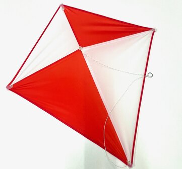 De Paddestoel Eddy 60 Multi met Naam - Eenlijnsvlieger