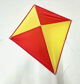 De Paddestoel Eddy 60 Multi met Naam - Eenlijnsvlieger