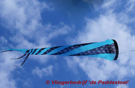 De Paddestoel Windvaan S Carbon-aqua