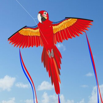 Spiderkites Parrot Roxana - Eenlijnsvlieger