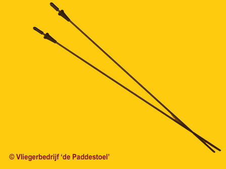 Prism 4D Whiskers