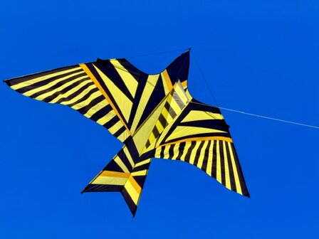 De Paddestoel George Peters Sky Bird Schiedam - Eenlijnsvlieger