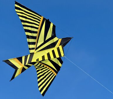 De Paddestoel George Peters Sky Bird Schiedam - Eenlijnsvlieger