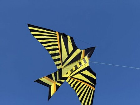 De Paddestoel George Peters Sky Bird Schiedam - Eenlijnsvlieger