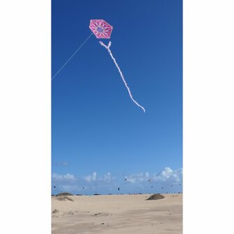 Spiderkites Alicja's Lotus Kite - Eenlijnsvlieger