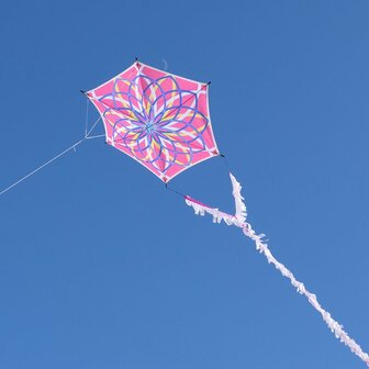 Spiderkites Alicja's Lotus Kite Pink - Eenlijnsvlieger