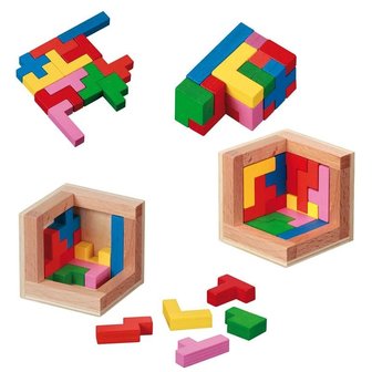 Philos Pentominos - IQ Puzzel