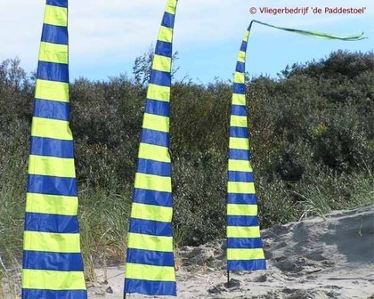 de Paddestoel Strepie Banner Blauw