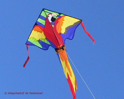 Premier Kites Large Easy Flyer Macaw