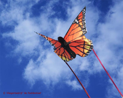 HQ Butterfly Monarch &#039;S&#039;