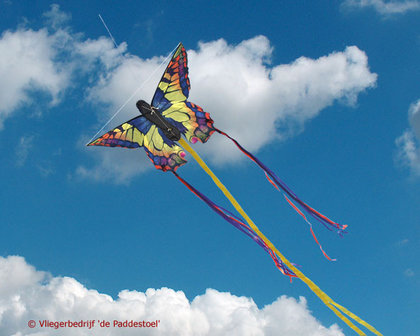 HQ Butterfly Swallowtail &#039;S&#039;