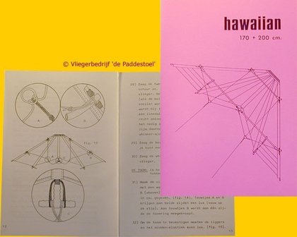 De Paddestoel Bouwboekje Hawaiian