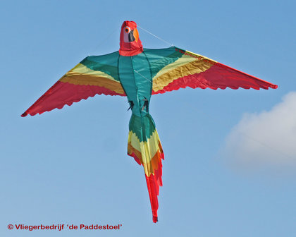 Wolkensturmer Parrot