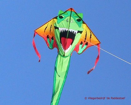 Premier Kites Large Easy Flyer T-Rex