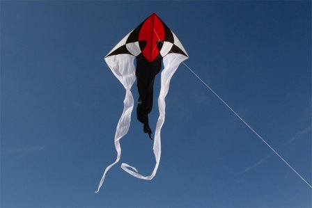 Spider Kites Flux Delta zwart-wit