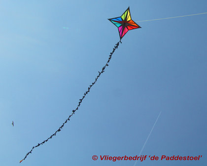 Into the Wind Maurizio&#039;s Enif Kite