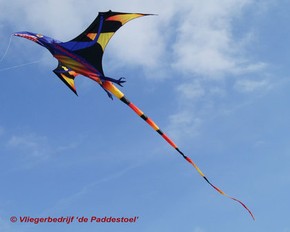 Premier Kites Pterodactylus