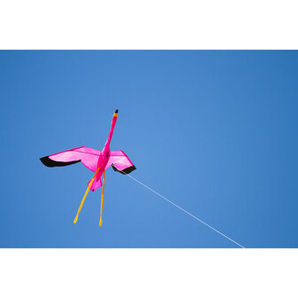 HQ Flamingo 3D