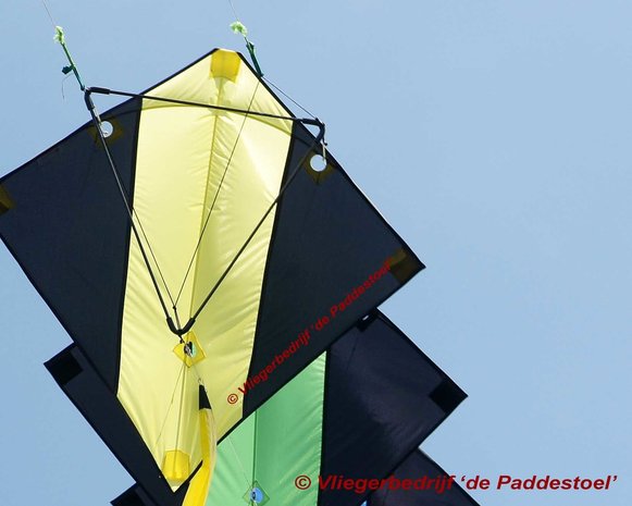 De Paddestoel Diamant Stunter Triangel