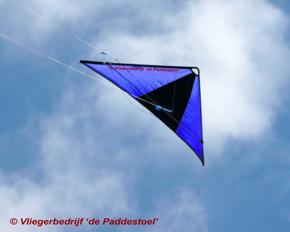 De Paddestoel Speedwing Proton