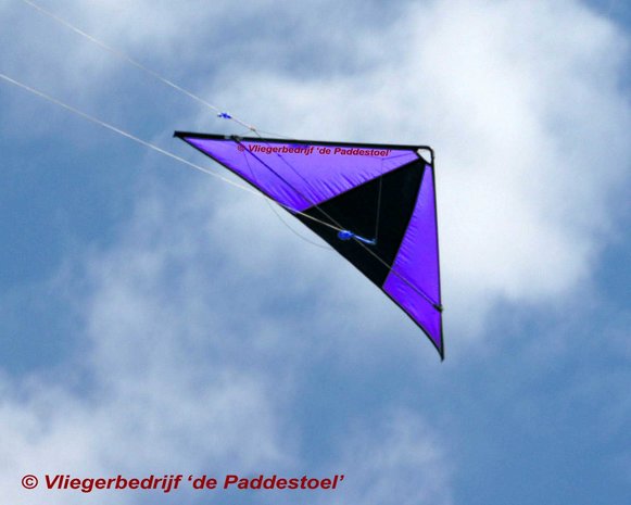 De Paddestoel Speedwing Proton