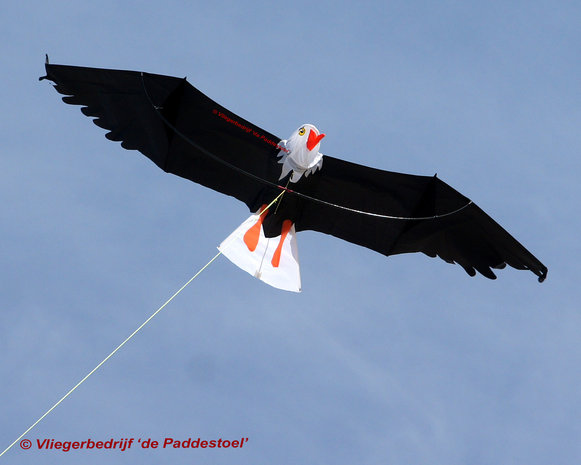 Premier Kites Eagle Kite