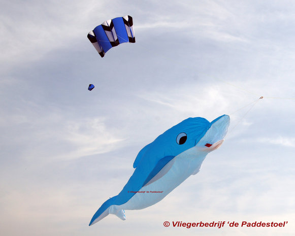 Premier Kites Giant Dolphin Lijnversiering