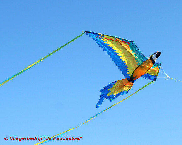 WindNSun 3D Macaw