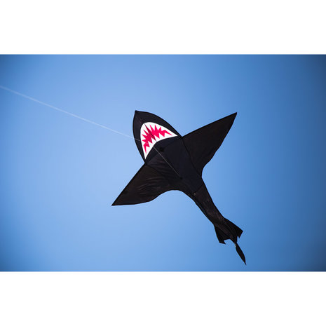 HQ Shark Kite 7