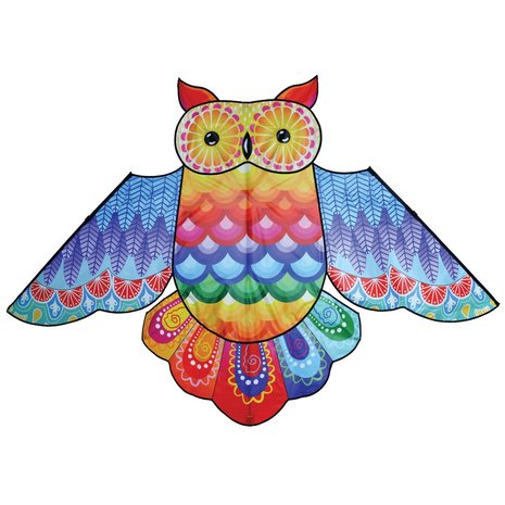 Premier Kites Rainbow Owl XL