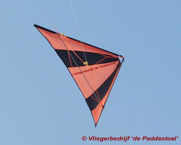 De Paddestoel Speedwing Pro