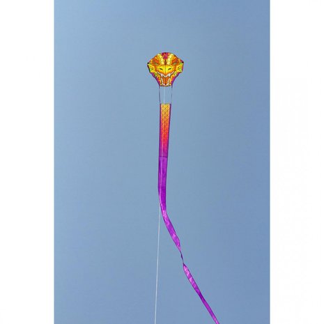HQ Dragonhead kite