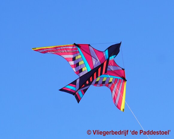 De Paddestoel George Peters Cloud Bird AHI