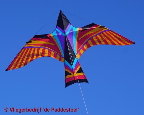 De Paddestoel George Peters Sky Bird Aloha