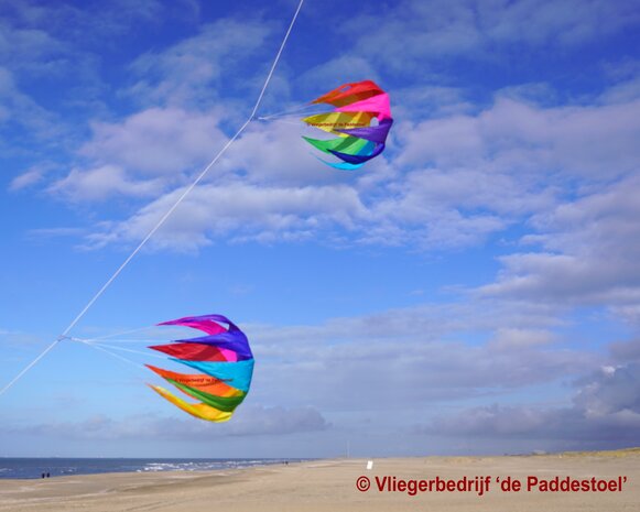 De Paddestoel Regenboog Spinner