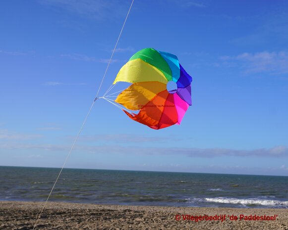 De Paddestoel Regenboog Spinner