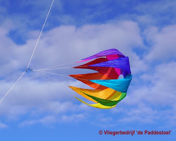 De Paddestoel Regenboog Spinner