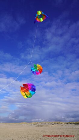 De Paddestoel Regenboog Spinner