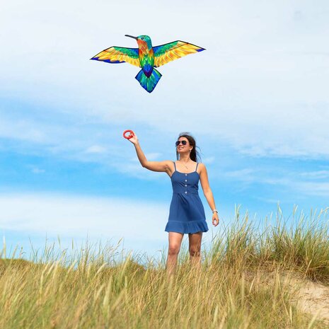 HQ hummingbird