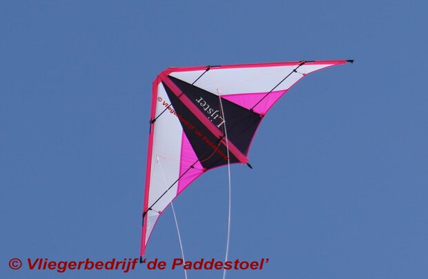 De Paddestoel Lijster