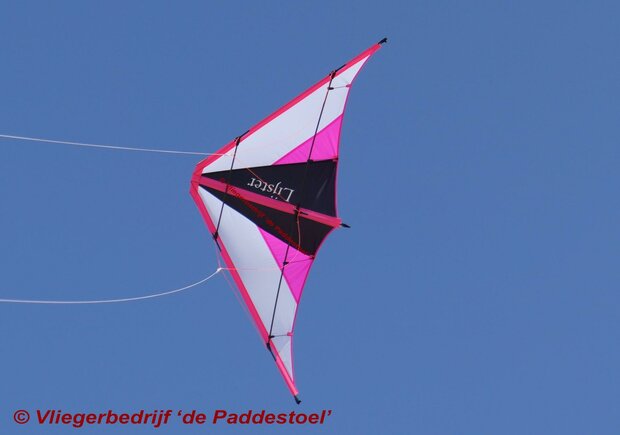 De Paddestoel Lijster - Pink