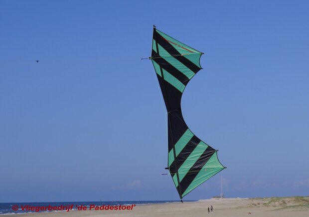 De Paddestoel Cursor Flash Groen/zwart